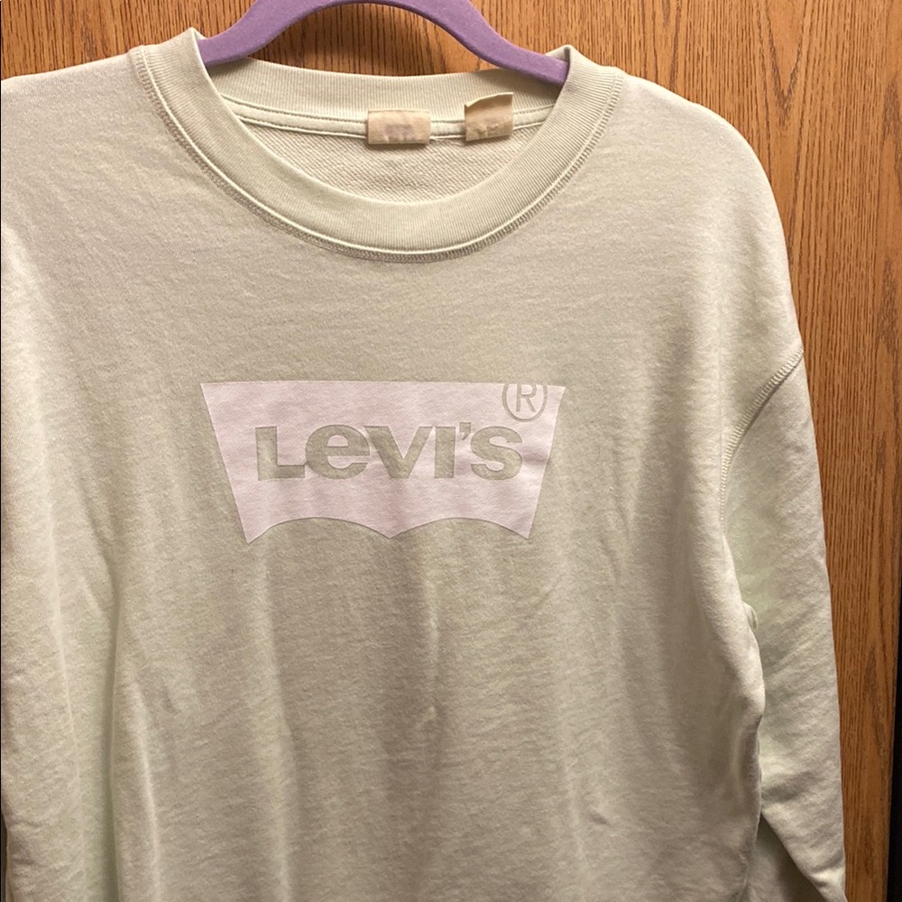 Levi's Mint Green Logo Sweatshirt